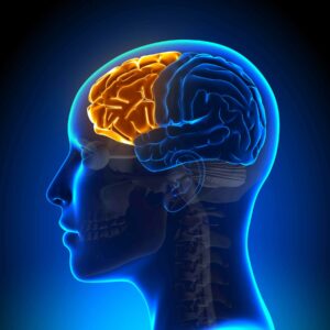 דיקור נוירולוגי \ ynsa|מיגרנה \ טיפול במיגרנה , כאבי ראש \ טיפול טבעי למיגרנה \ שיקום דיבור אחרי אירוע מוחי